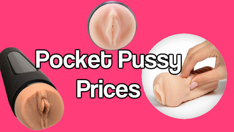 Pocket Pussy Price